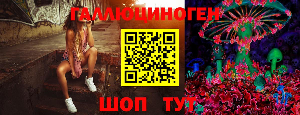 Солнечногорск  где купить наркотик  Вход с VPN  Галлюциногенные грибы ЛСД 